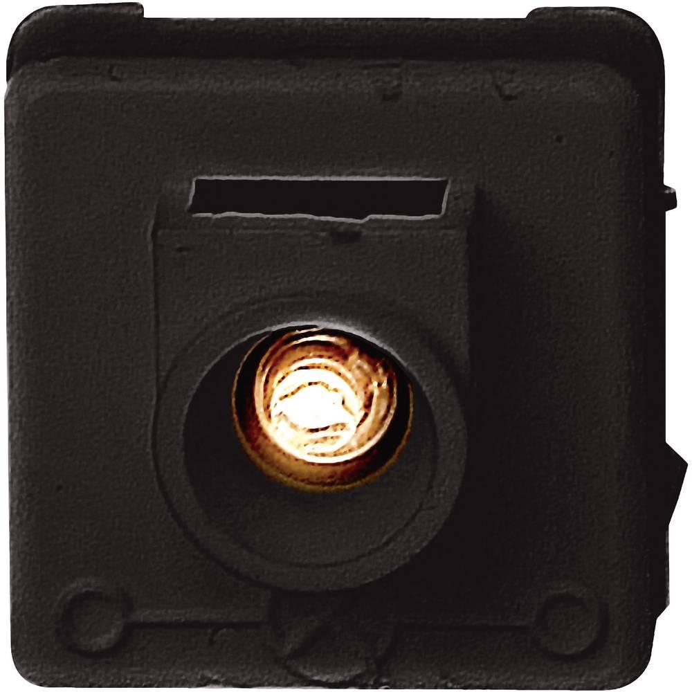 Kopp Zubehör Glimmlampe Europa 3243, Taster + Schalter, Schwarz