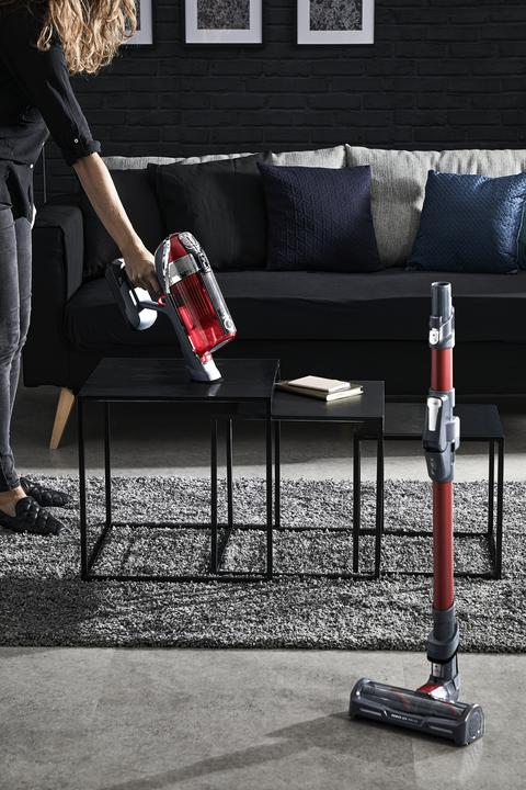 Actual product image Rowenta X-Force Flex 11.60 Animal