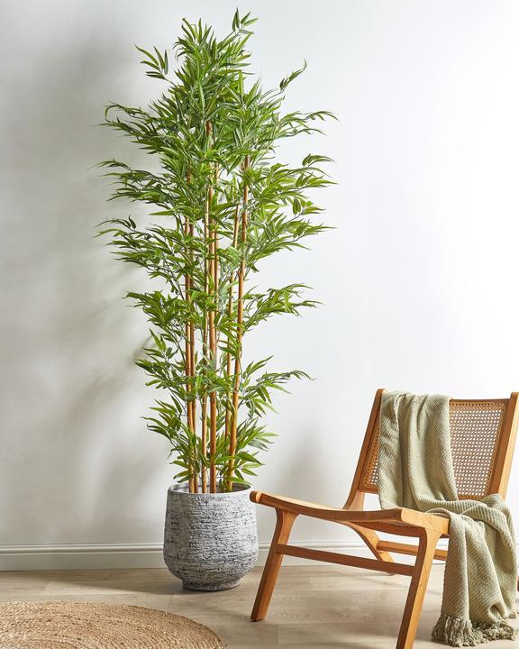 Immagine prodotto Beliani Bamboo (220 cm)