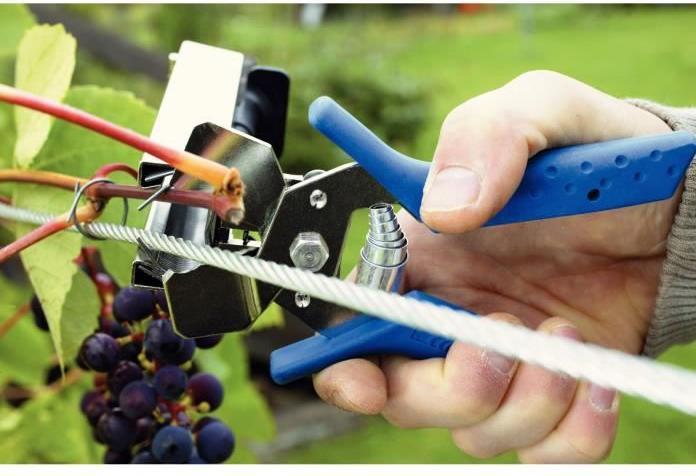 Image du produit Rapid C50 Agrafes annulaires Acier 4.200 pièces (4200x)