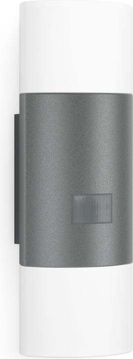 Actual product image Steinel Outdoor wall light L 910 (755 lm)