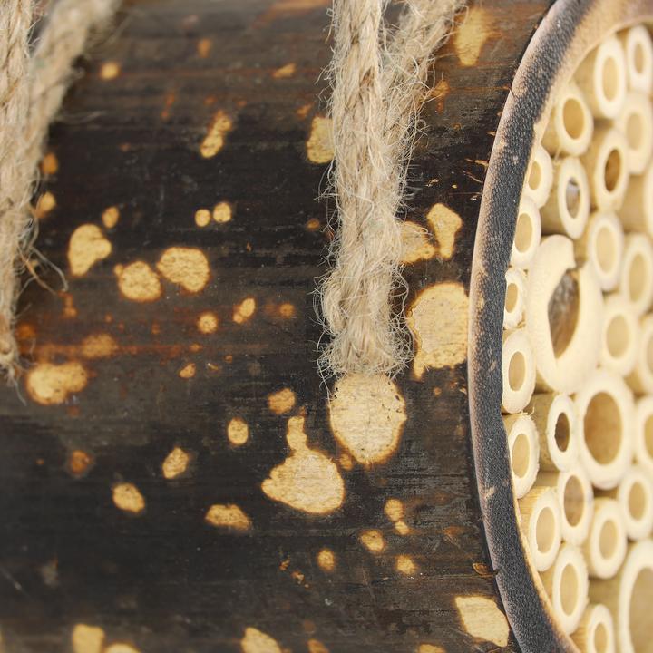 Immagine prodotto Relaxdays Casetta insetti (Api, Vespe scavatrice)
