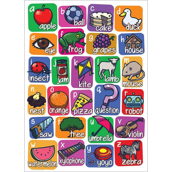 Actual product image Grindstore Poster Apple To Zebra Alphabet