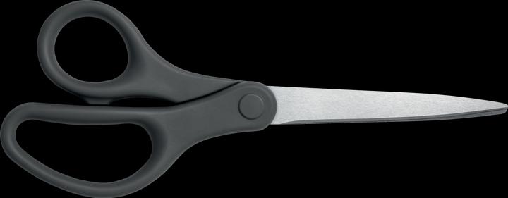 Actual product image Leitz Titanium Scissor (20.50 cm)
