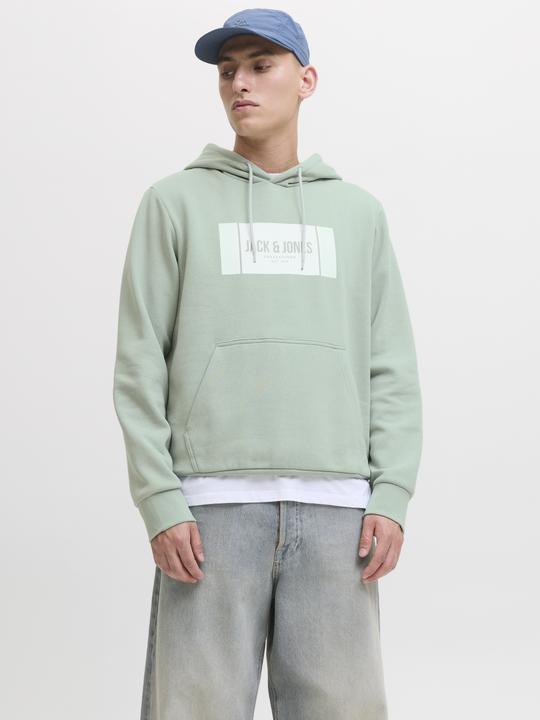 Produktbild Jack & Jones Jjhayato Sweat Hood Bts Ln (S)