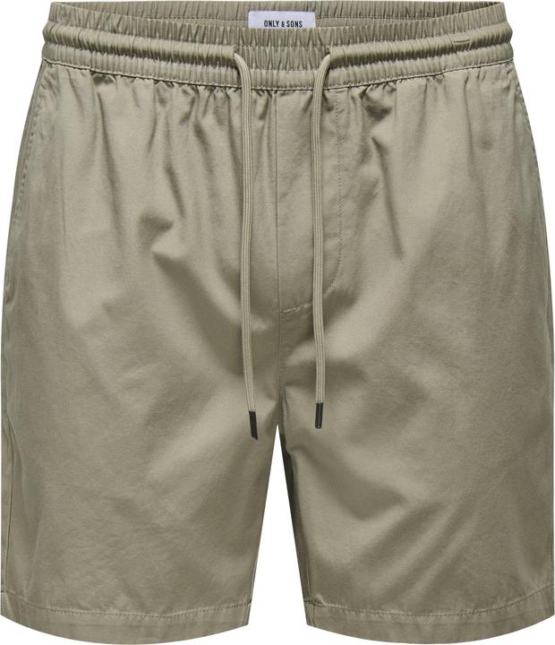 Only & Sons ONSTEL Normal geschnitten Shorts Shorts