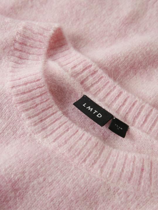 Produktbild Lmtd Regular Fit Strickpullover (158)