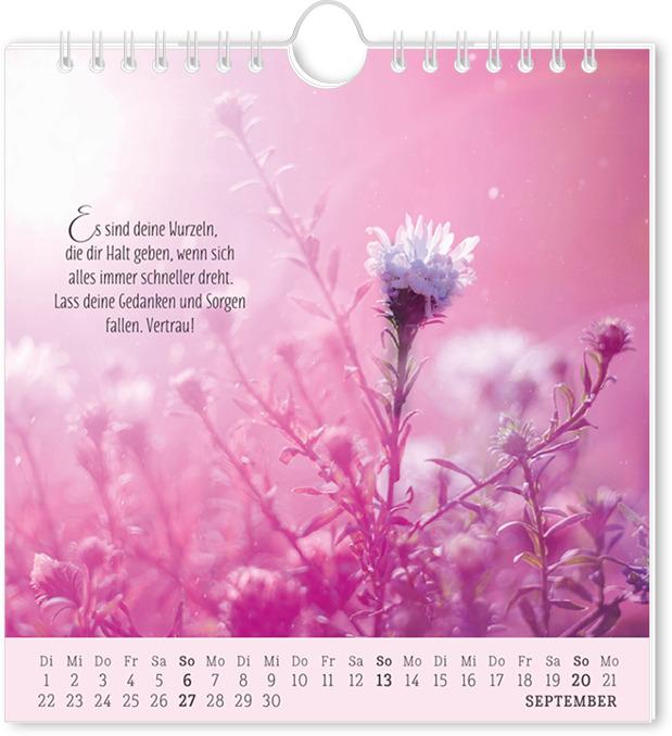 Actual product image Postkartenkalender 2026 Lebenszeichen