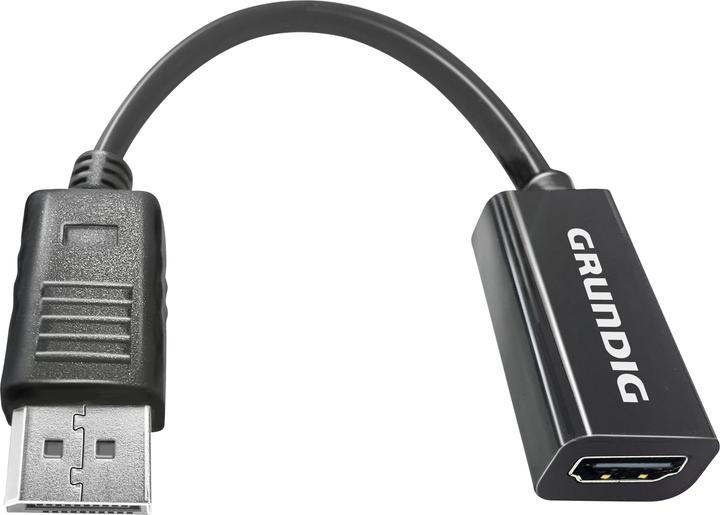Grundig Câble vidéo DisplayPort 0.2m (0.20 m, DisplayPort)