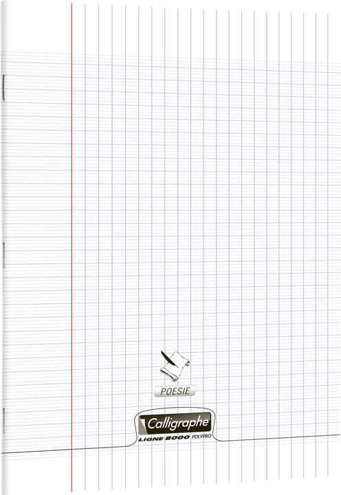 Immagine prodotto Clairefontaine Lega 8000 POLYPRO (Copertina morbida)