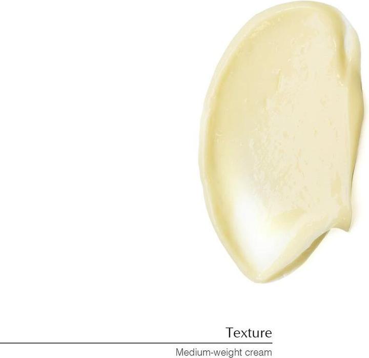 Actual product image Aesop Geranium Leaf (Body cream, 500 ml)