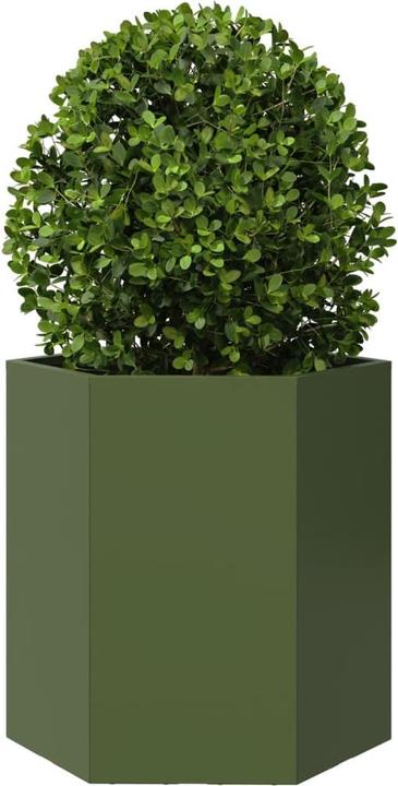 Produktbild vidaXL Pflanzkübel