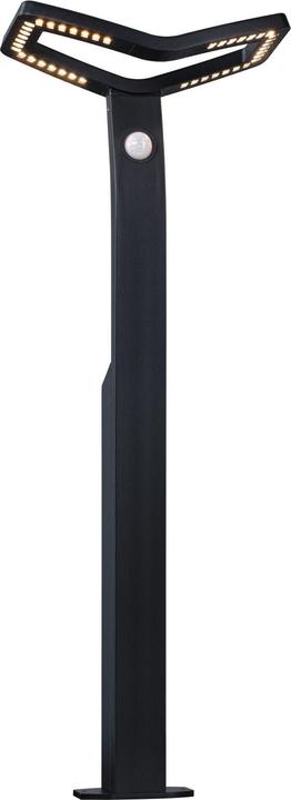 Image du produit Paulmann Borne d'éclairage Alara (600 lm, IP44)