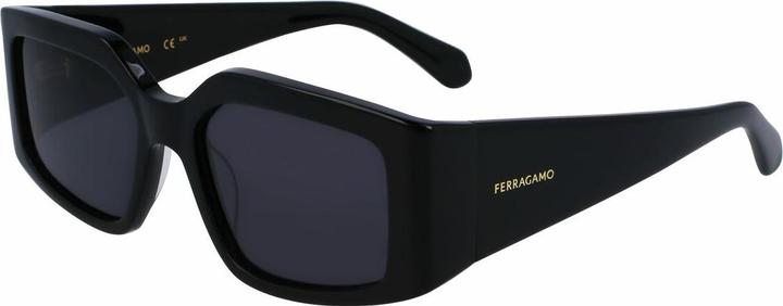 Image du produit Salvatore Ferragamo Ladies' Sunglasses SF1101S-5418001 Ã¸ 54 mm