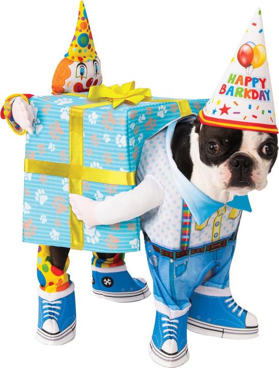 Image du produit Bristol Novelty Costume de chien pour anniversaire (L, Combinaison pour chien)
