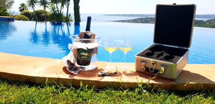 Actual product image Gabriel-Glas Travel Case StandArt (2 Glasses, Red wine glasses, White wine glasses)