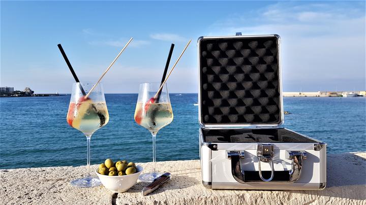 Actual product image Gabriel-Glas Travel Case StandArt (2 Glasses, Red wine glasses, White wine glasses)