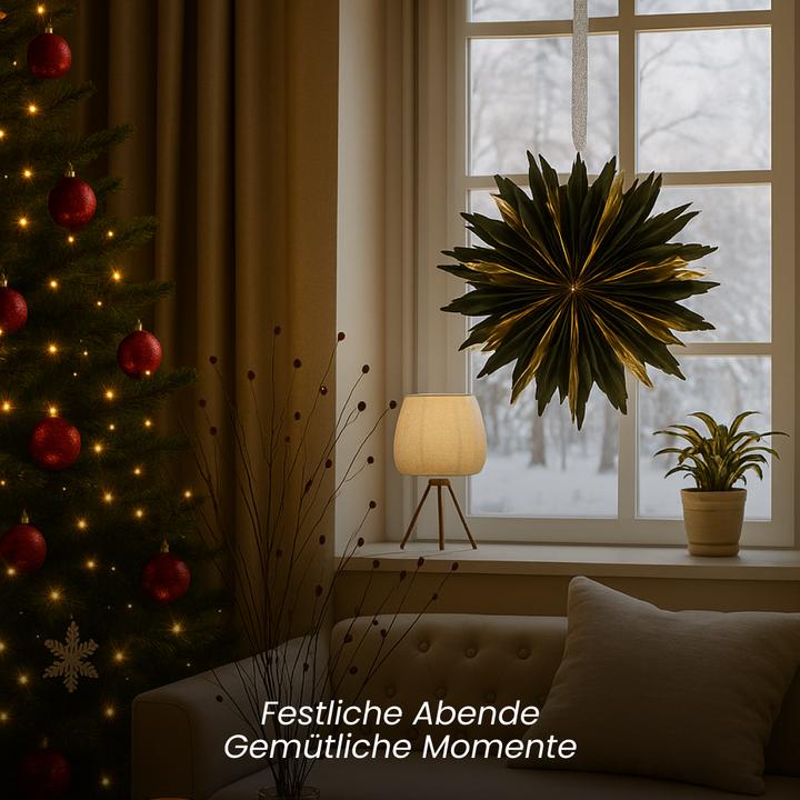 Produktbild Star Trading Papierstern Dis