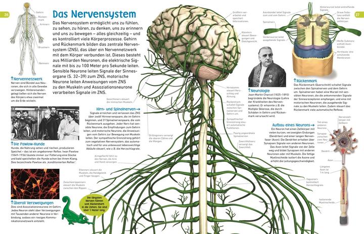 Actual product image memo Wissen entdecken. Der Körper (German, Sibylle Tönjes, 2018)