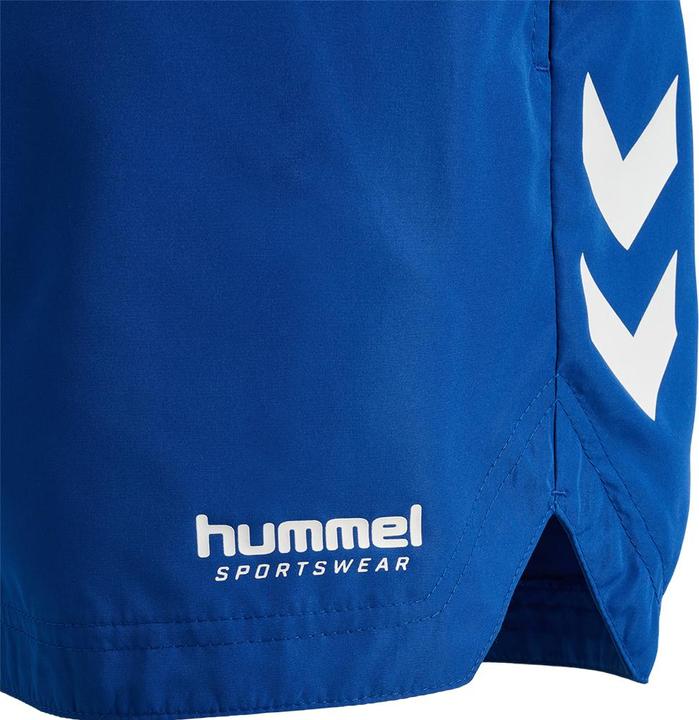 Image du produit hummel hmlLGC NED SWIM SHORTS (M)