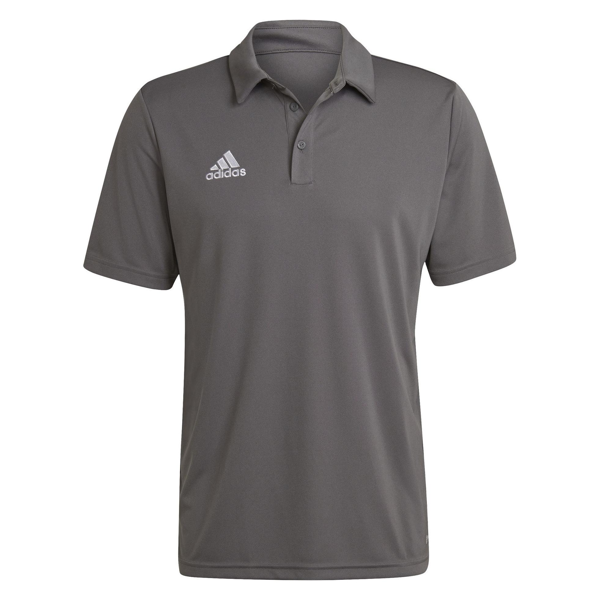 Adidas, Mannen, Sportief Shirt, Entrada 22 Poloshirt Heren (M), Grijs, M