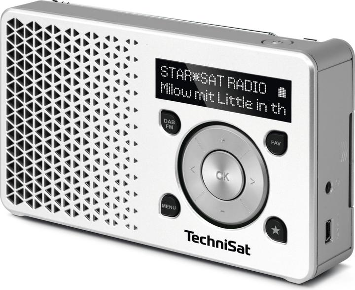 Actual product image TechniSat Digitradio 1 (DAB+, FM)