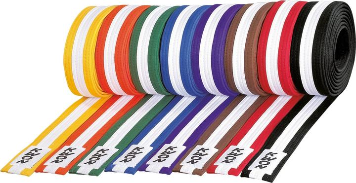 Actual product image Kwon Budō belt