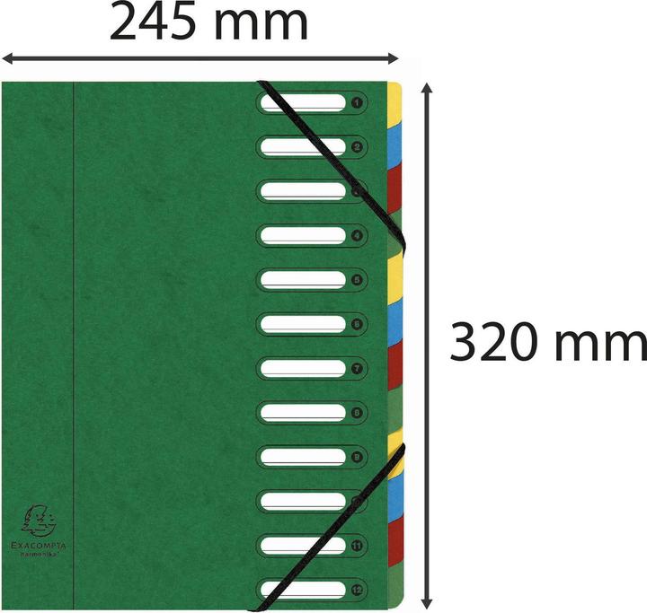 Produktbild Exacompta HARMONIKA - Ordnungsmappen A4 (A4, 1x)
