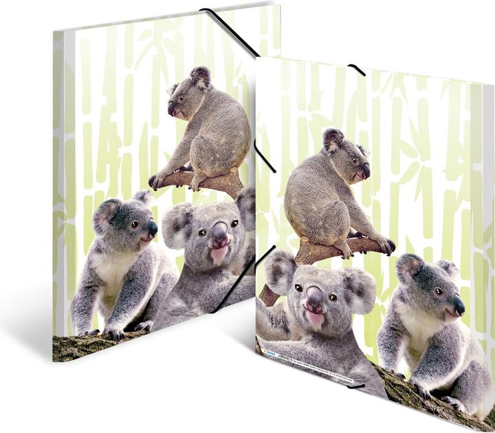 Productafbeelding HERMA A3 motief map (A3, 1x)