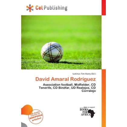 David Amaral Rodríguez, Ratgeber