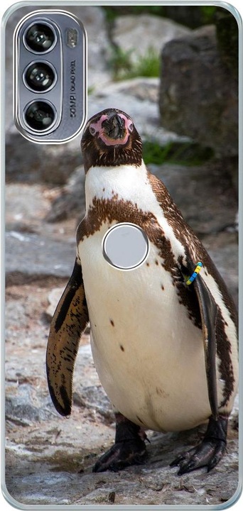 Pinguin