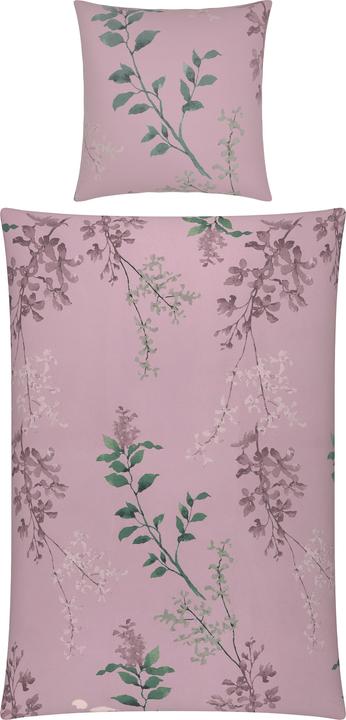 Immagine prodotto Erwin Müller Bettwäsche (Set di biancheria da letto, 80 x 80 cm, 155 x 220 cm)