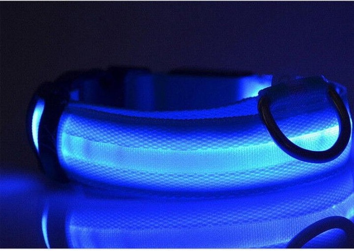 Produktbild Cbx Aufladbares LED-Hundehalsband Grösse XL - 53-57cm (XL, Hund)