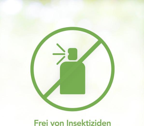 Produktbild Raid Essentials Cold Freeze Spray (Spinnentiere, Ameisen, Schaben)