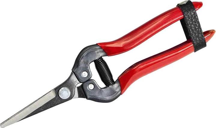 Rot