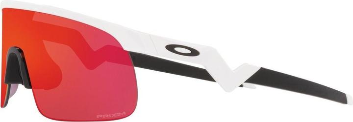 Actual product image Oakley Resistor (Polished white, White glossy, prizm field)