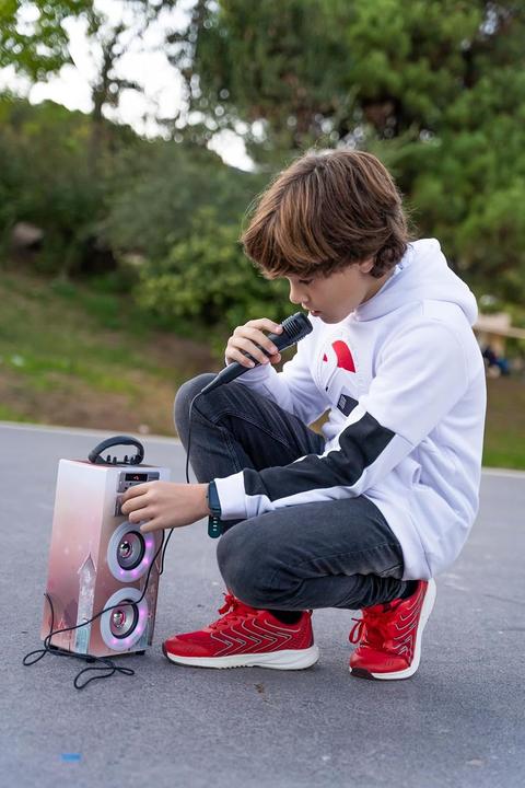 Actual product image Dynasonic Tragbare Karaoke-Maschine mit 2 Mikrofonen