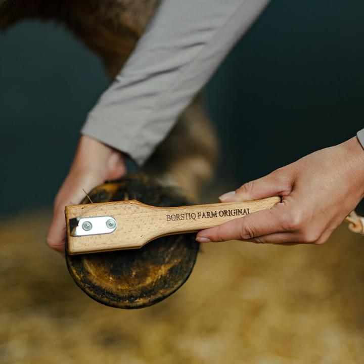 Actual product image Borstiq - Hoof pick with Bassine brush