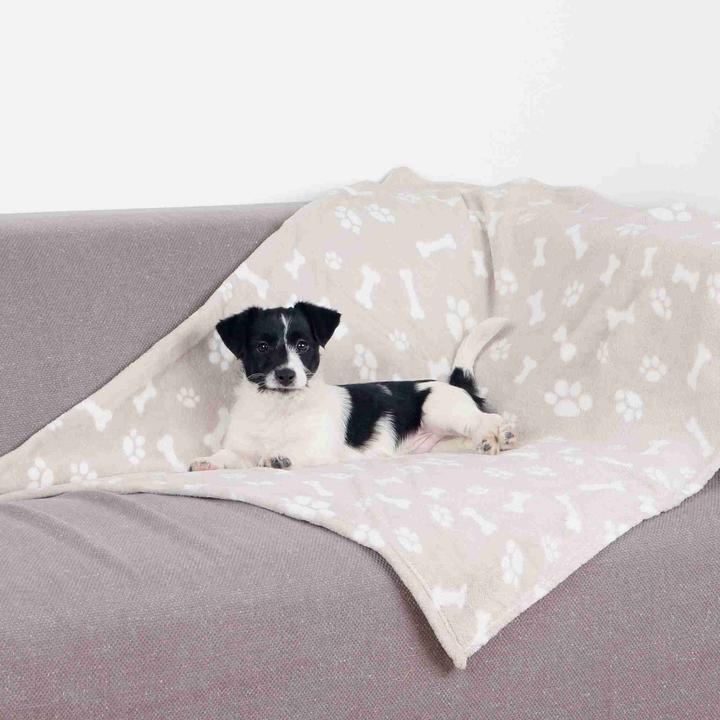 Image du produit Trixie Kenny (Chien)