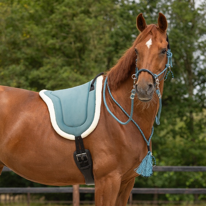 Qhp Liberty