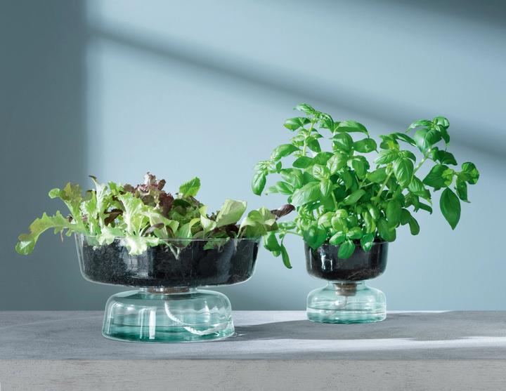 Image du produit LSA Canopy selbstbewässernder Topf H13cm - recy. Optik (1 x)