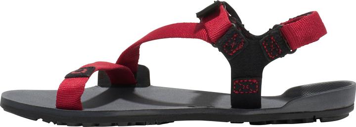 Actual product image Xero Shoes Z-Trail (32)