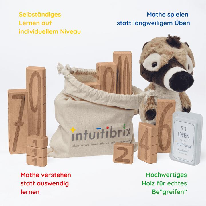 Image du produit Intuitibrix dans un sac en tissu