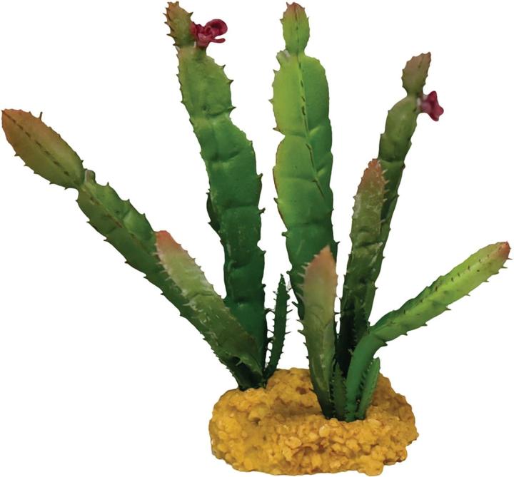 Repto Plant Plant Cactus Needle Red Tip