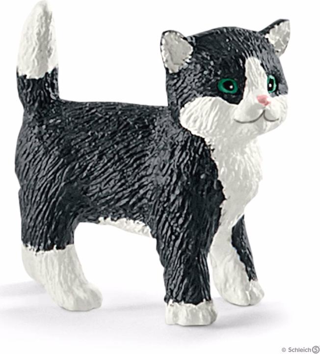Produktbild Schleich Spielspass für niedliche Katzen