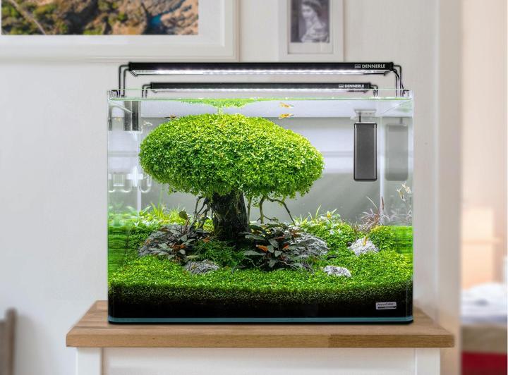 Actual product image Dennerle Heater Constant, 35 W