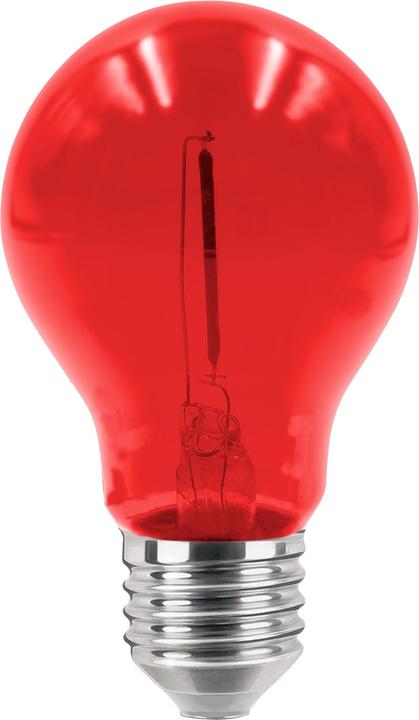 Lampadina