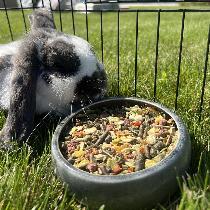 Image du produit Witte Molen Aliment de base Puur Gourmet Muesli pour lapins (0.62 kg, 1 x)