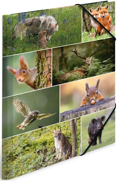 Produktbild HERMA Sammelmappe A3 Motiv (A3, 1x)