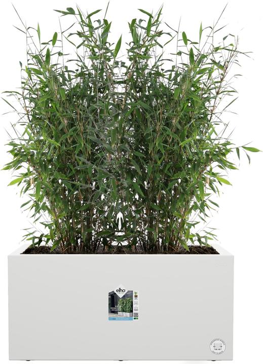 Produktbild Elho Vivo Next Lang (600 cm)